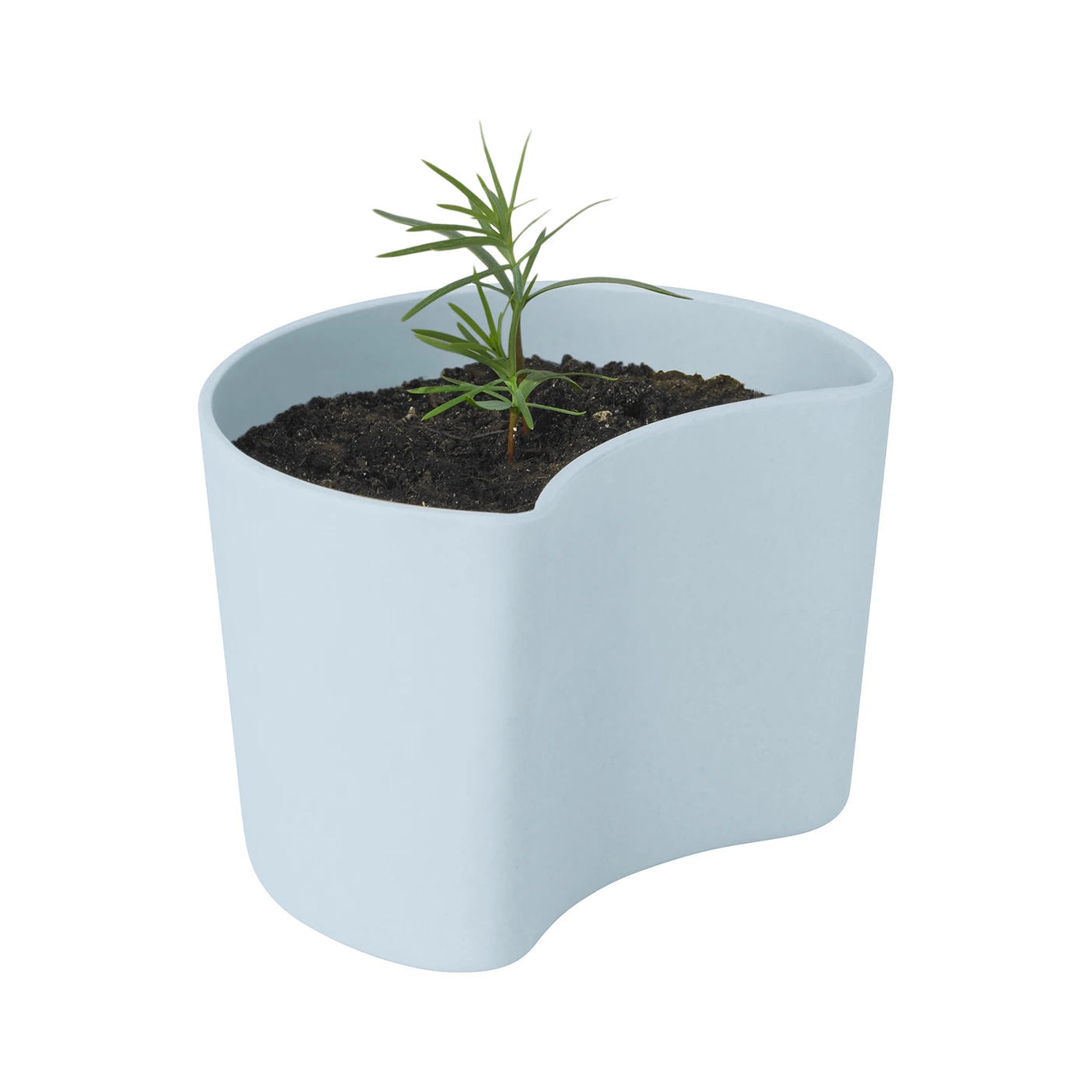 RIG TIG YOUR TREE Pot Met Zaadjes 1 RIG TIG YOUR TREE Pot Met Zaadjes