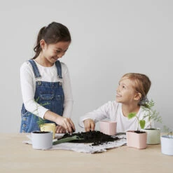 RIG TIG YOUR TREE Pot Met Zaadjes 7 RIG TIG YOUR TREE Pot Met Zaadjes -Muuto Verkoopwinkel 42898 04 03 81ae9676e9