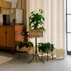 Menu Umanoff Planter Bloembak Rotan-staal 7 Menu Umanoff Planter Bloembak Rotan-staal -Muuto Verkoopwinkel 47124 02 04 9a34c63cd8