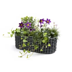 Korbo Balkonmand -Muuto Verkoopwinkel 513349 01 3 ProductImageExtra 3b319f3cf6