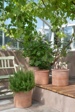 Bergs Potter Modena Bloempot Ø40 Cm -Muuto Verkoopwinkel 572407 01 41 EnvironmentImage b3427167a2