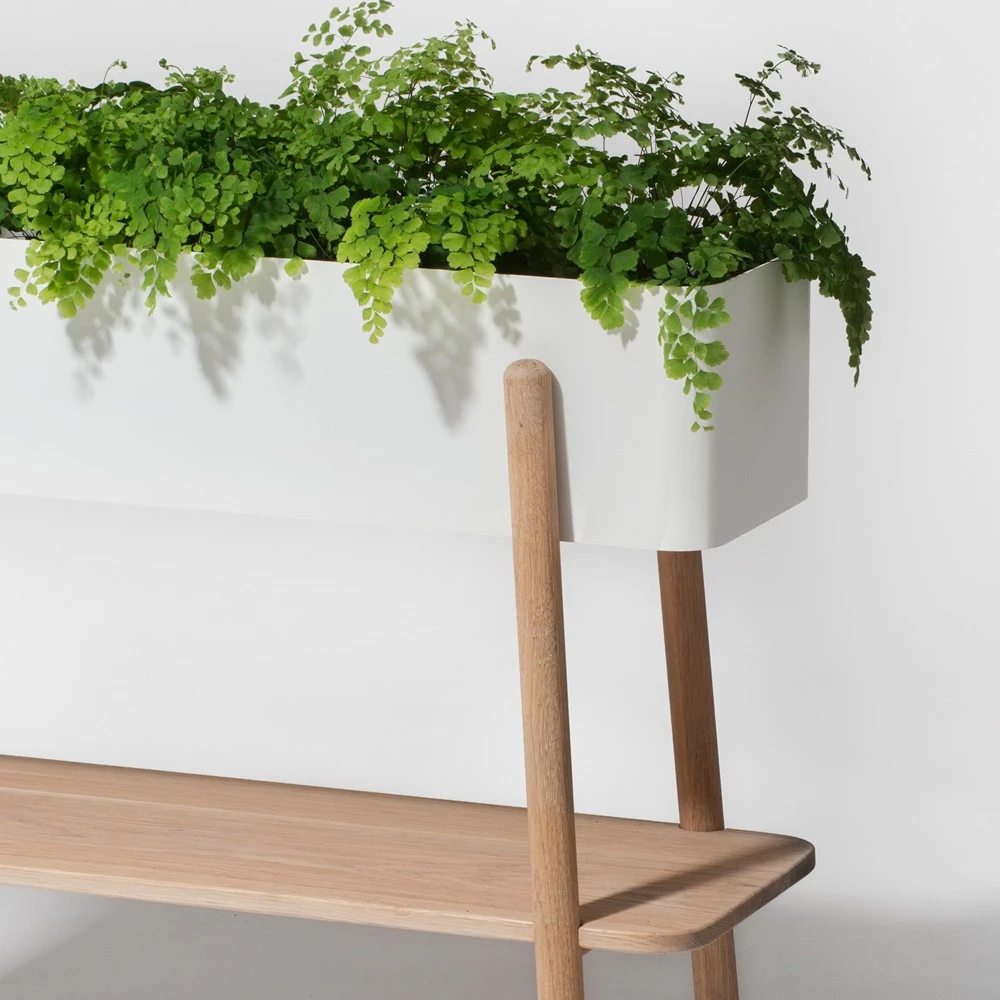 Prunella Plantenrek 2 Prunella Plantenrek - Afbeelding 2